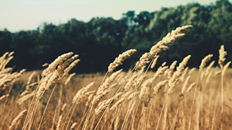 短信轰机轰炸app下载安卓手机