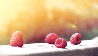 电话呼叫软件网页版